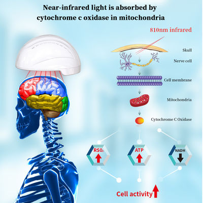 810nm de infrarode LEIDENE Lichte Helm van Photobiomodulation voor het Verbeteren van Alzheimer