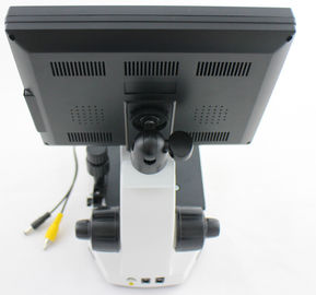 Professionele Microcirculatiemicroscoop/Nailfold de Capillaire Microscopie met CCD-Videocamera